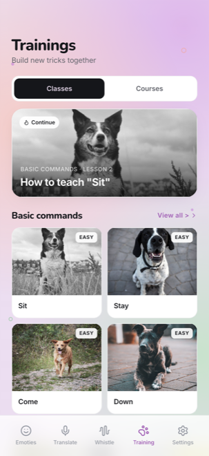 Training classes and guides