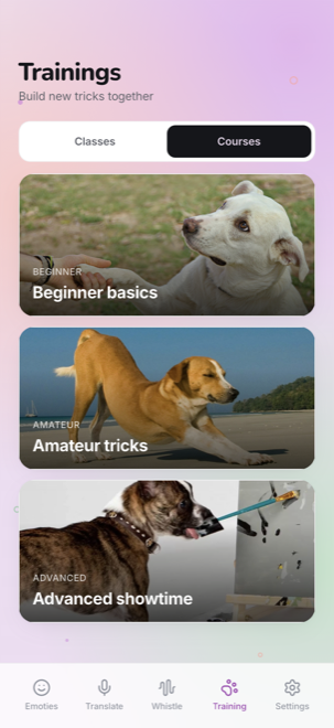 Courses for every level
